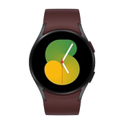 Samsung Galaxy Watch5 40mm Bluetooth graphite mit Sport Band burgundy (S/M)