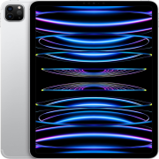 Apple iPad Pro (2022) 11 Zoll 1TB WiFi + Cellular silber
