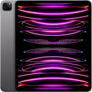 Apple iPad Pro (2022) 12,9 Zoll 256GB WiFi + Cellular spacegrau
