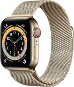 Apple Watch Series 6 40mm GPS + Cellular Edelstahlgehäuse gold mit Milanaisearmband gold